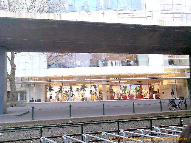 31--tausendfuessler2